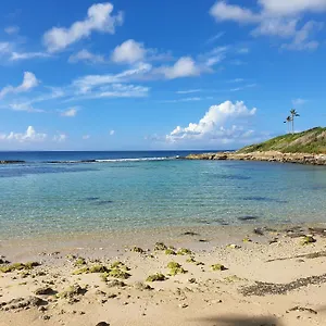 Le Manganao Bougainvillier Beach Saint-Francois (Grande-Terre)